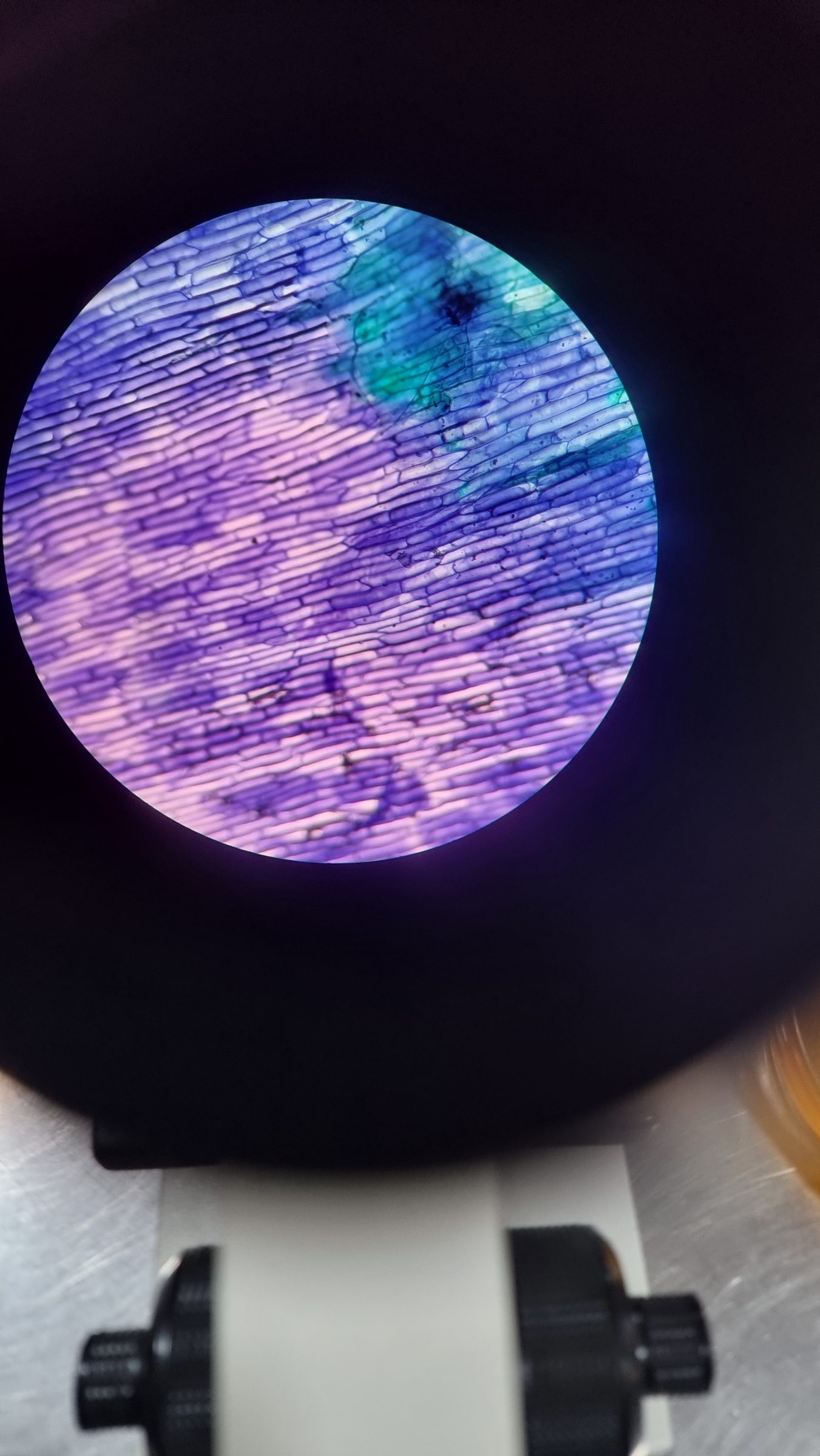 20260914_083132